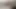 Küçük sıkı genç kedi yok edildi