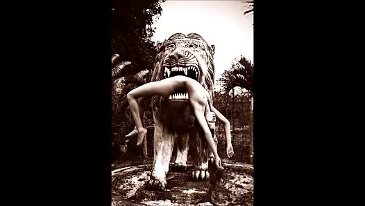 Retro monokrom 3417'de gizlice uyandırıldı