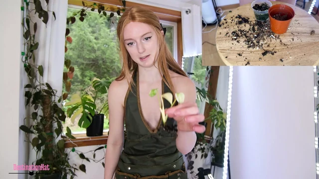 Kat ile bahçe- repotting monsteras sfw