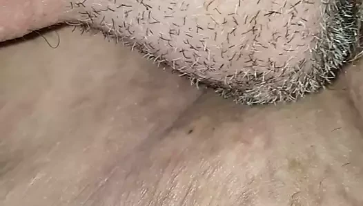 yalama kedi 2