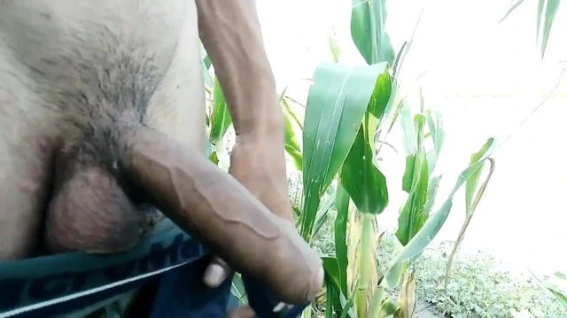 Sabah büyük yarak mastürbasyonu ve boşalma