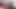 Black Bull Rome Major Bangs Ebony BBW Mizz Luvli Black!