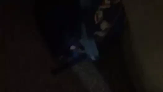 şaplak göt ve topları