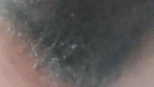 Bayan kabarcık çalı iki