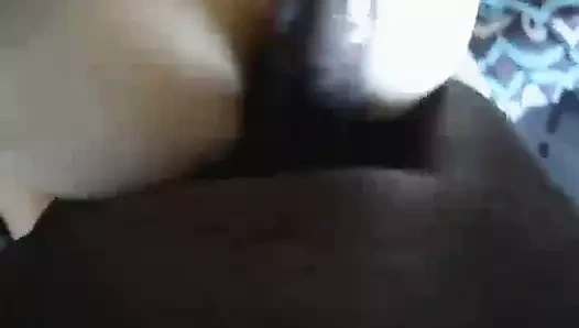 Bbc preforming anal üzerinde beyaz kız içinde otel odasında