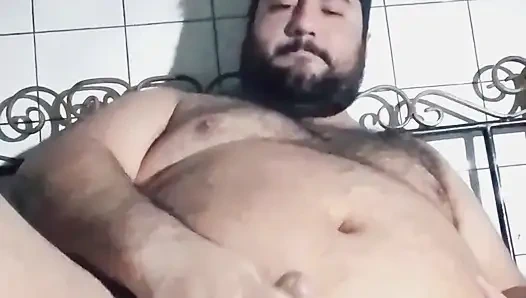 Şişman edepsiz domuz 2