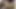 Baştan çıkarıcı orta yaşlı seksi kadın lezbiyenler patlayıcı orgazm için ıslak amcıklarını parmaklıyor
