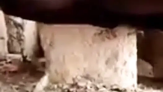 Yaşlı kadın hadzabe kabilesi uzun rabia ile büyük bir amına sahip