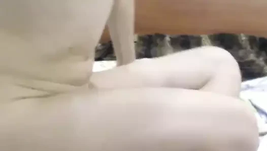 Kirli Asya sürtük ile kıllı kedi üzerinde web kamerası
