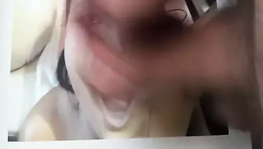Visegrdy'ye övgü