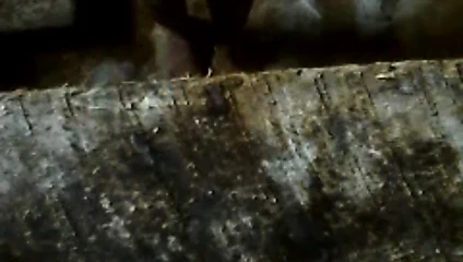 Madamnilu - Hintli götlü kadın