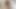 seksi travestiler seviyor emme horoz