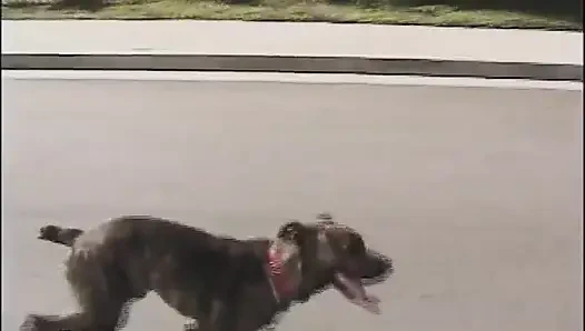 Lezbiyenler bebek amcığına dildo sokuyor