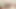 Southernstrokes twinks tony milak ve jacob dolce raw sikme