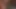 Lust Army Prod