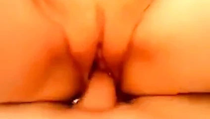 In die Moese reingesteckt