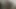 Zenci kızları seviyorum