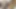 Güzel lezbiyenler uzun amcık dildo sikiliyor