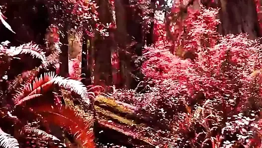 Alexis Fawx ve Brandi Love ve Cherie Devile videosu