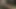 Seksi esmer kızlar birbirlerini parmaklıyor