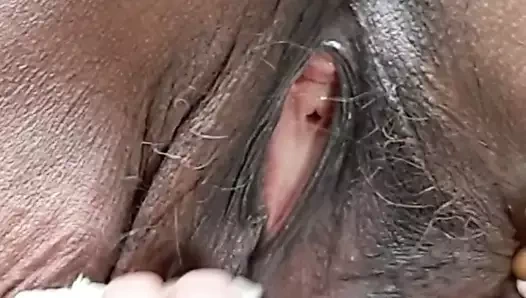 Dağınık tüylü kedi, çok fena çiş yapmak zorunda kaldım! olgun latin