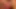 Dildo flash tas ile seks