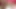 Travesti hatun bruna ferrari biraz iyi ırklararası yarak istiyor