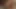 Ateşli lezbiyen çift birbirlerinin ıslak amını yalıyor