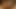 Vrhush yaramaz esmer adriana chechik kedi dövülerek sert