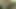 Dev karanlık canavar horoz mastürbasyon yapmak yani sert