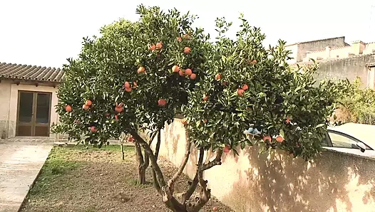 Alman amatör kızlar edepsizce oynuyor #2 - amatörler kaydedildi