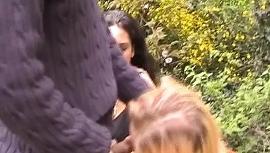 Amateur German bitches sucking stiff rod in the park