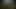 A Mossborn Femboy Forest-Nymph Finds a Hiker and Gets Bred Deep Multiple Times