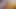 Botanist-kurye yanlışlıkla porno çekimine bindi ve dörtlü seks yapıyor