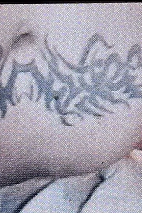 Kahverengi ve beyaz yapıyor rt...