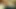 güzel Pakistanlı kız oral seks