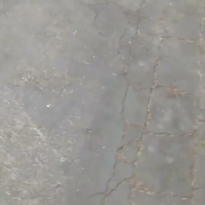 Büyük oral seks