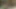 Büyük memeli ateşli esmer kadını alıp götürüp sikiyorlar