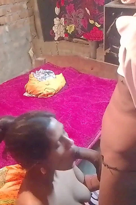 Hintli desi ev hanımı seks videosu