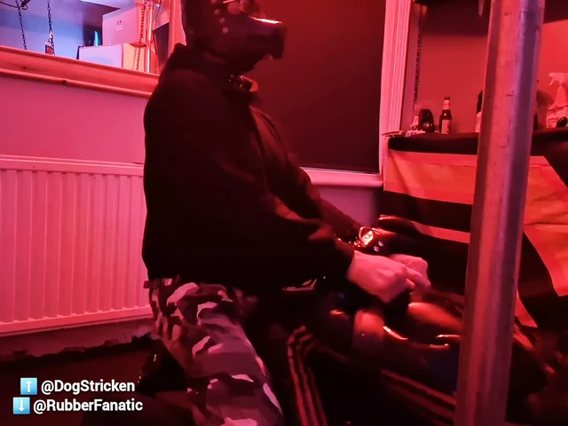 Резинового GIMP трахнули и использовали сверху