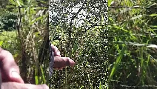 Tatil: soğuk rüzgarda işiyor, dondurulmuş ikramlar