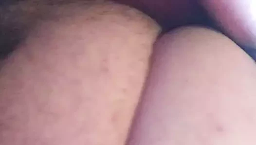 ıslak ve kıllı KEDİ ile saç fırçası üzerinde webcam