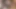 Seksi iç çamaşırlı beni sikmek istedi