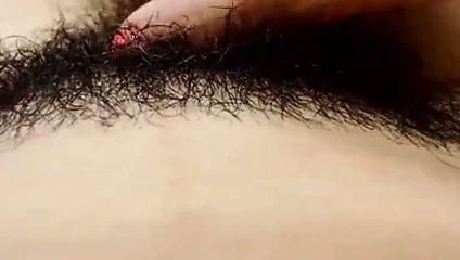 parmak kıllı çalı