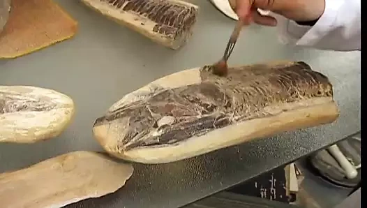 Ateşli laboratuvar ortakları iş gününü emmeye ve sikişmeye çevirir