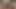 Eşcinsel kas ibadet videolar