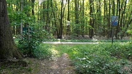 UItkleden in het bos