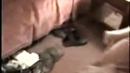 İri güzel kadın Chuck'ın içine boşalıyor(tam)