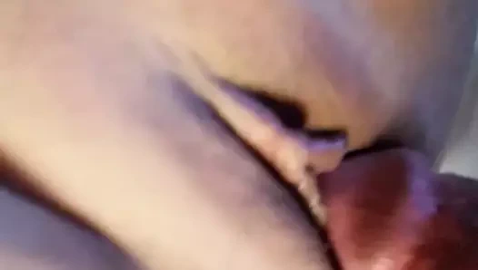 Tulips Asya traş kedi gets bazı çük