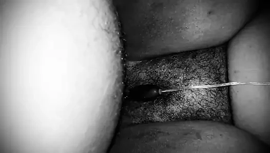 Phat kıllı şaşırtıcı kedi